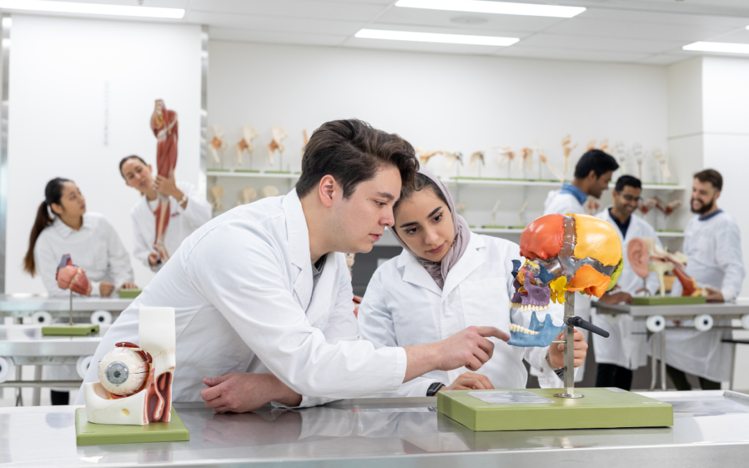 Student Visa Australia Home Affairs updates